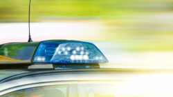 Foto: © jozsitoeroe (https://stock.adobe.com)