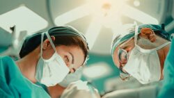 Foto: yaser mobarakabadi