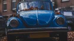 Foto: © Haberdoedas (https://unsplash.com)