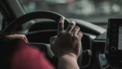 © Mae Dulay (https://unsplash.com)