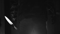 Foto: Hamed Mohtashami pouya